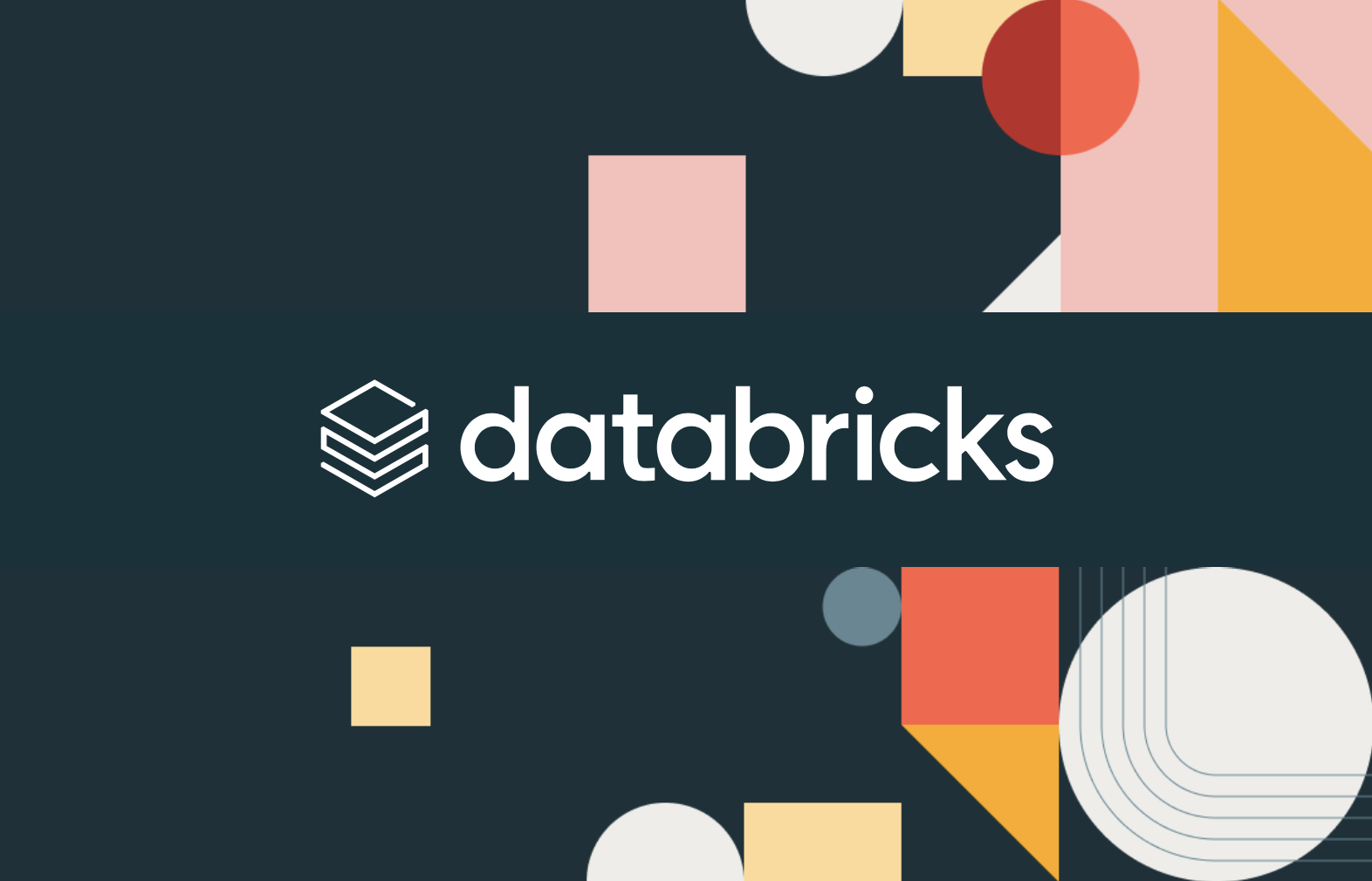 databricks Partner